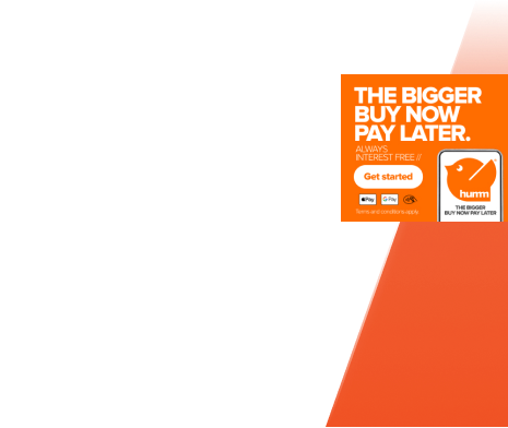 Professional Plumbers